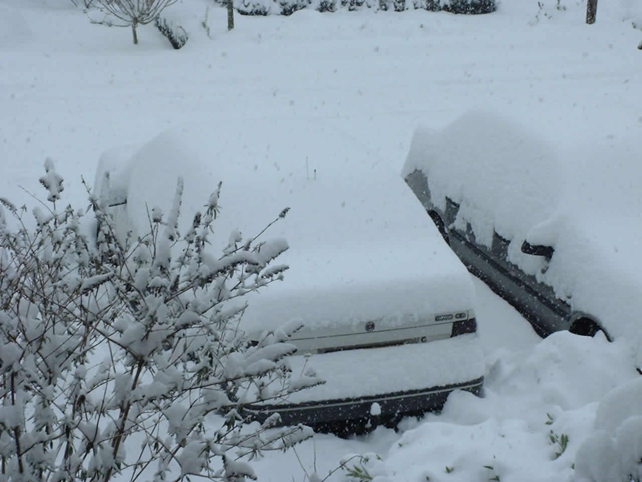 Saab onder de sneeuw